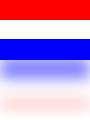 Nederlands